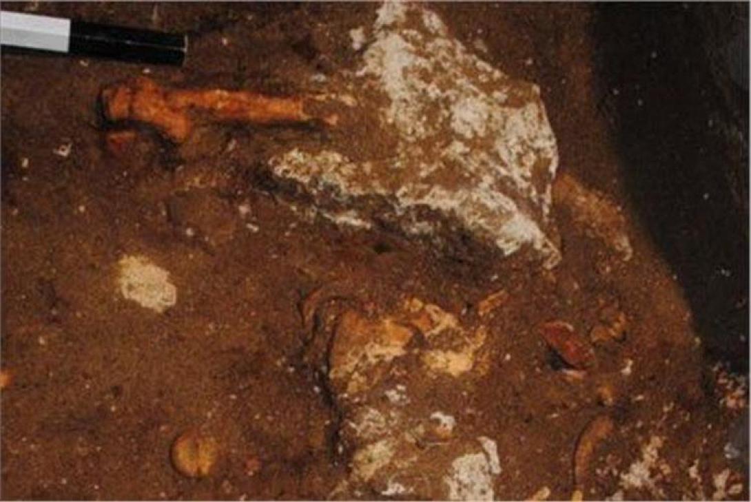 Η πρώτη φωτογραφία του σκελετού της Αμφίπολης