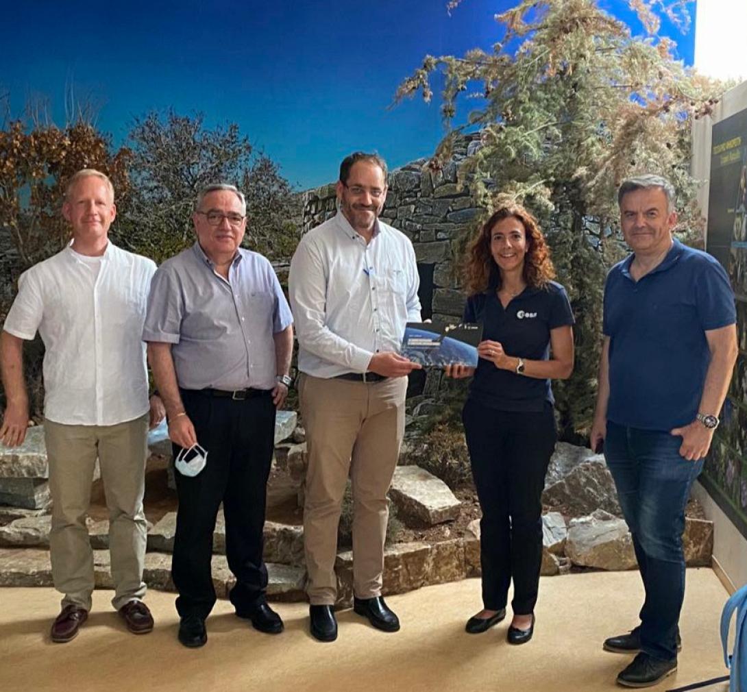 ανώγεια σκίνακας