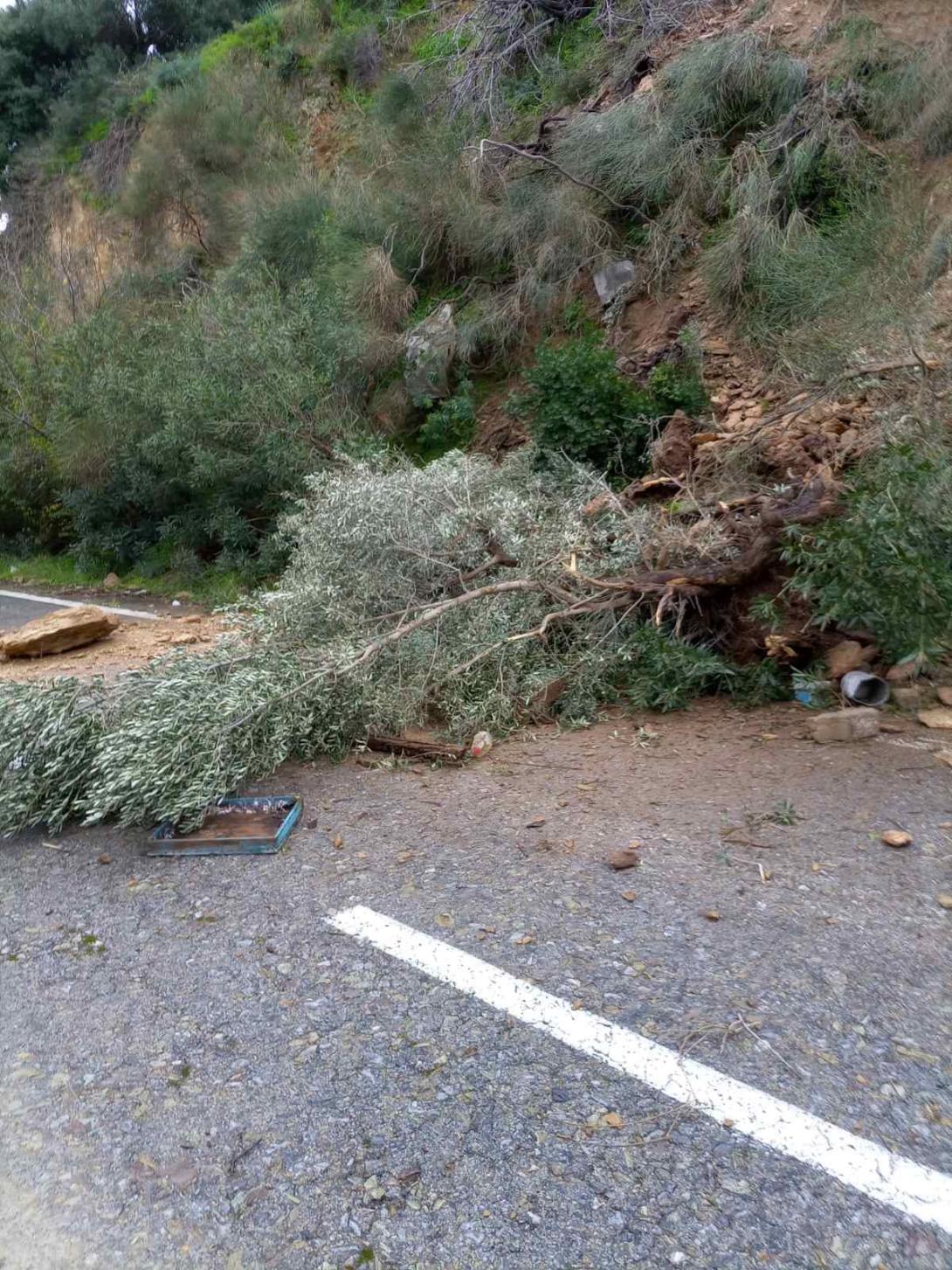 δεντρο
