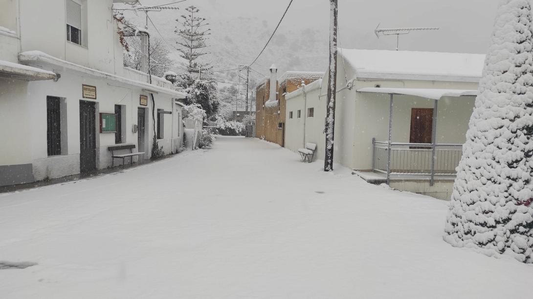 Κουρούτες - Σπύρος Καπελώνης