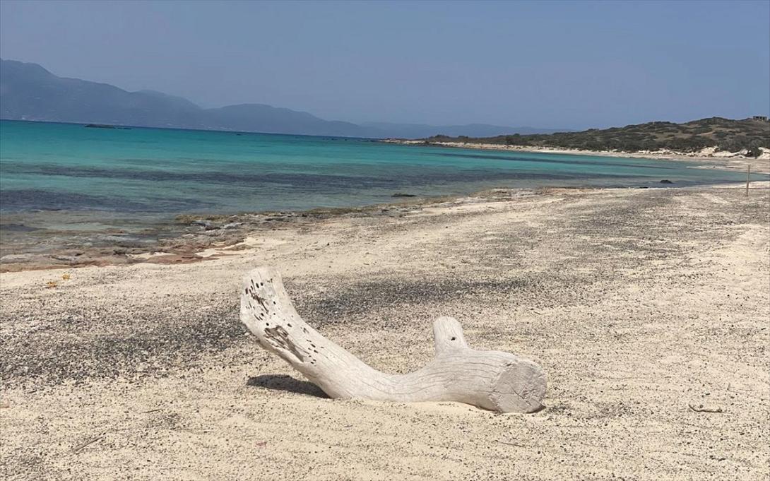 χρυσή