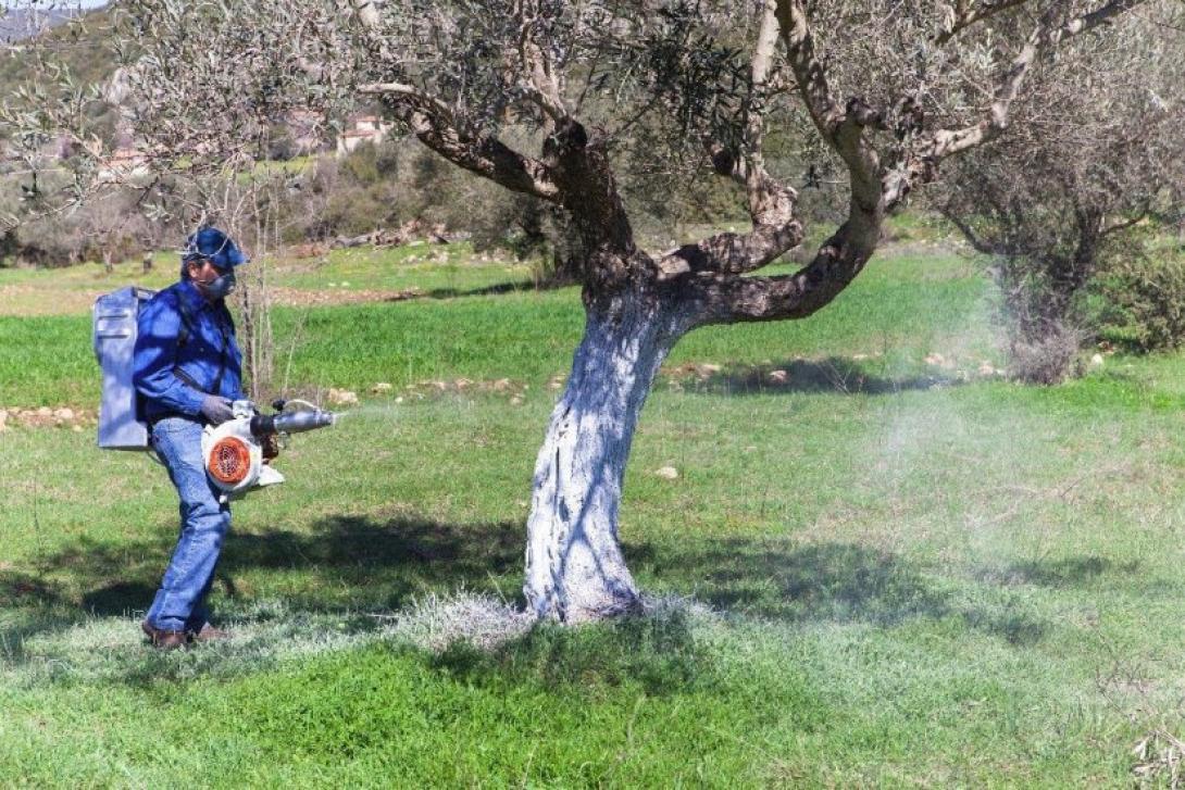δάκος