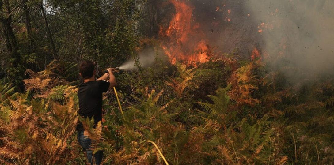 Πυρκαγιά ξέσπασε στο Κρεμαστό Ευβοίας 