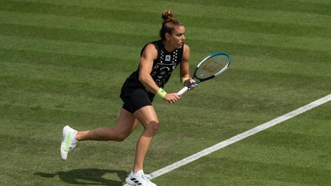 sakkari