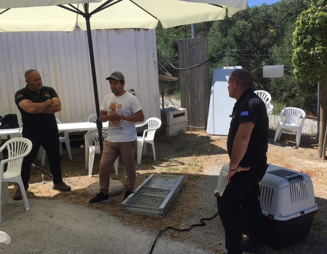 σεμινάριο αδέσποτα
