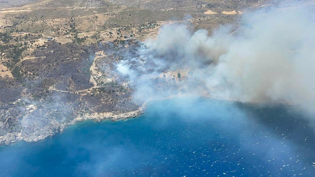 ροδακινο φωτια