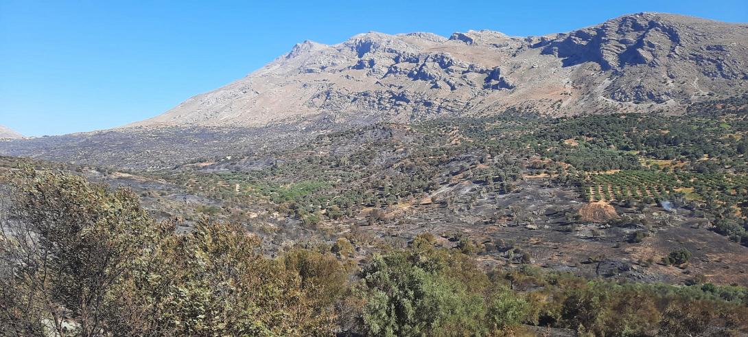 καμμένη γη