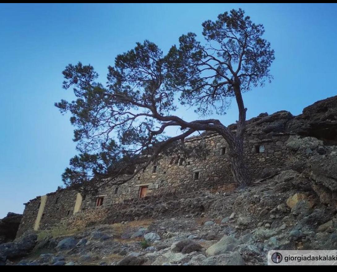 Νικήτας