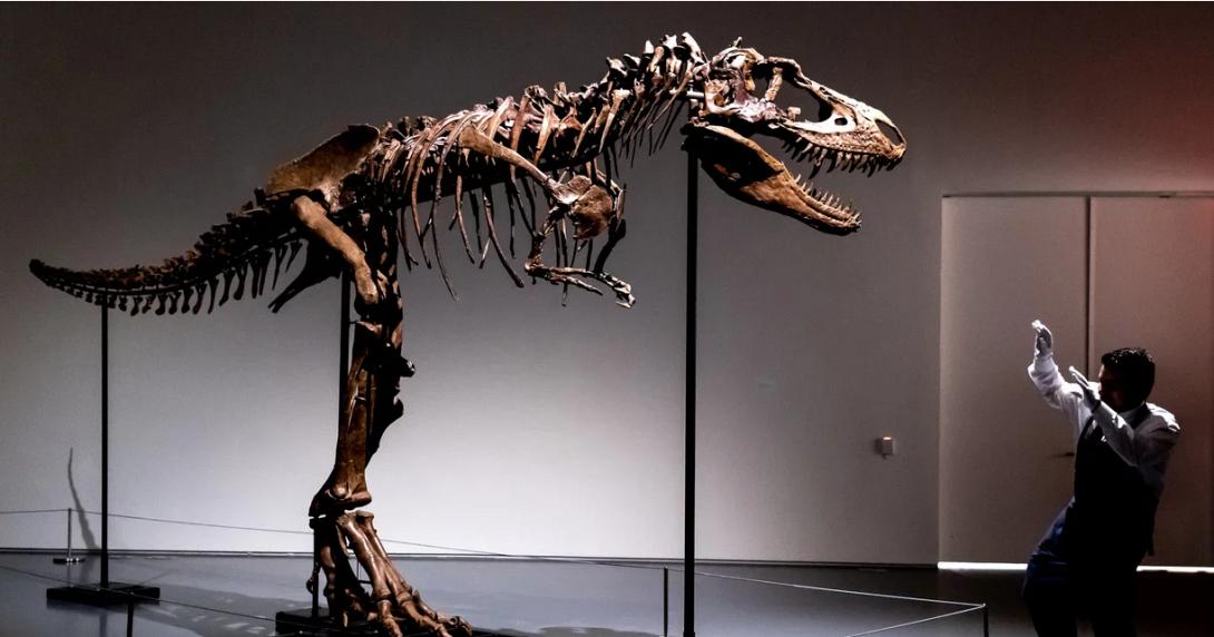 σκελετός δεινοσαύρου