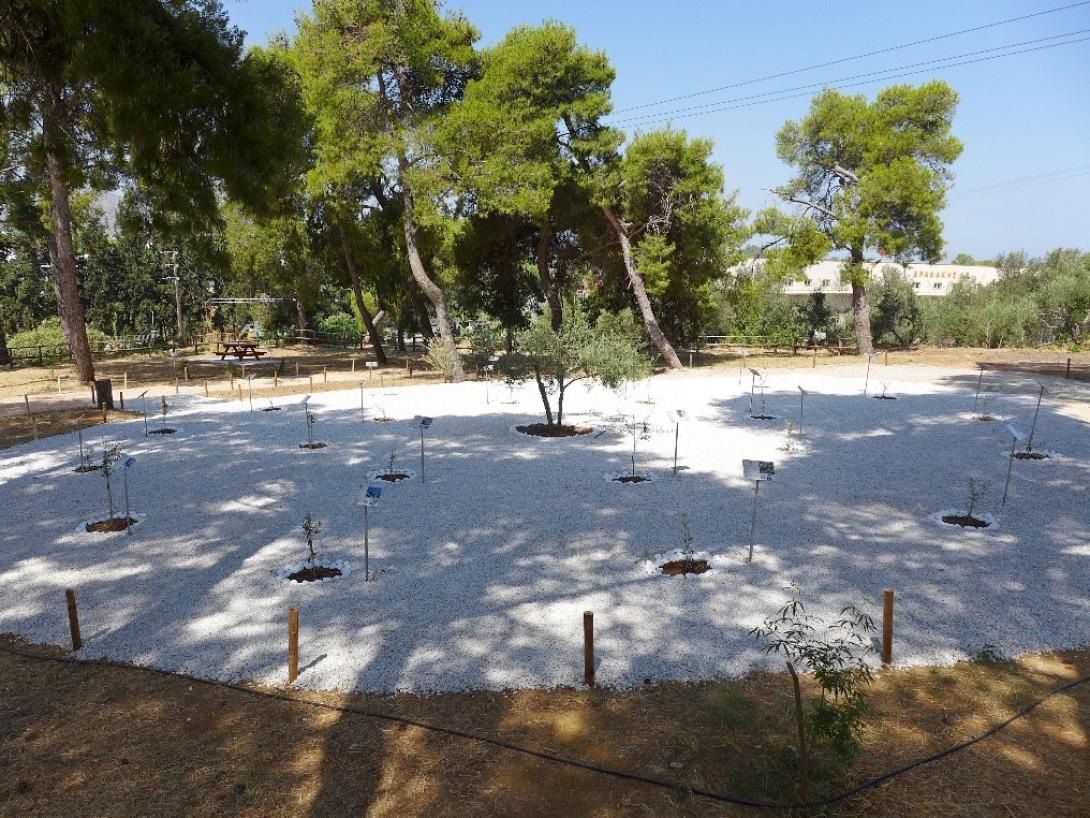 χανιά κήπος της ειρήνης