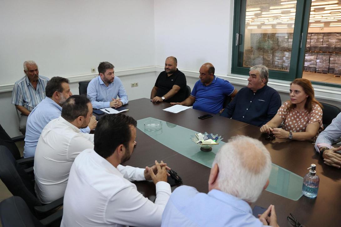 Νίκος Ανδρουλάκης Μεσαρά