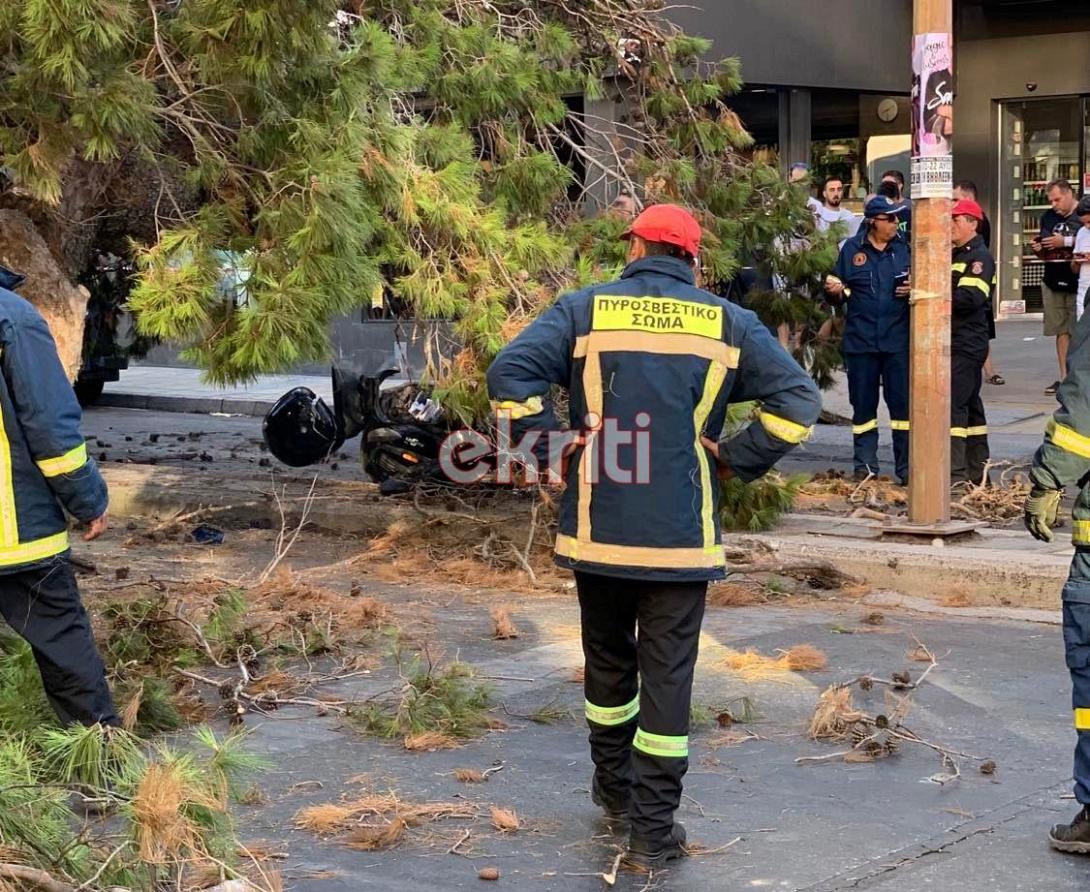 Τον πλάκωσε δέντρο και τον σκότωσε