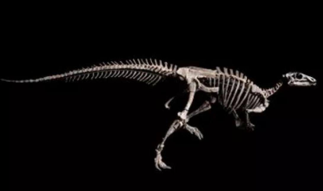 ΔΕΙΝΟΣΑΥΡΟΣ