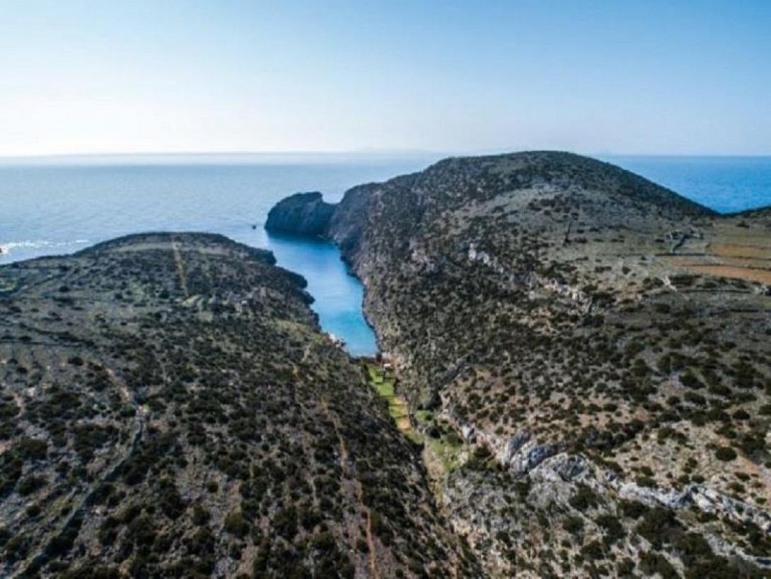 κίναρος