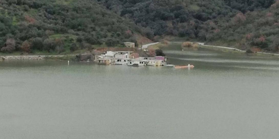 σφενδυλι