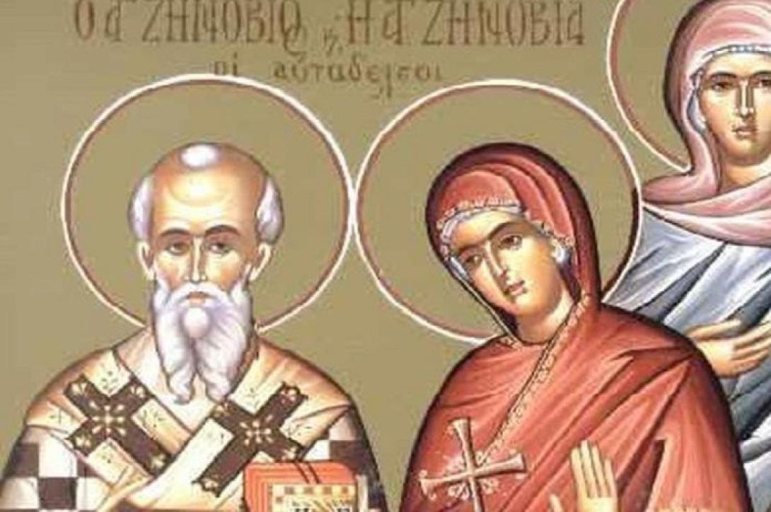 ΖΗΝΌΒΙΟς ΚΑΙ ΖΗΝΟΒΊΑ