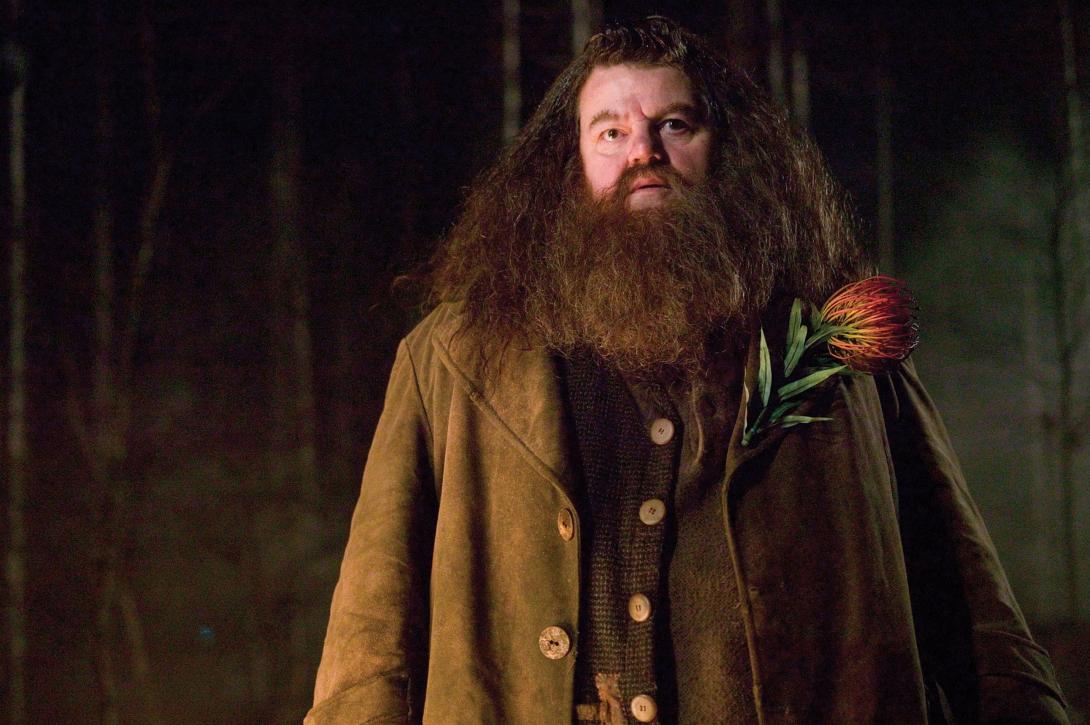 Harry