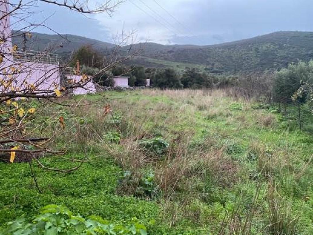 ακινητο - αγορά