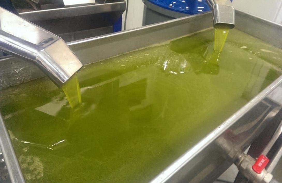 ελαιουργείο