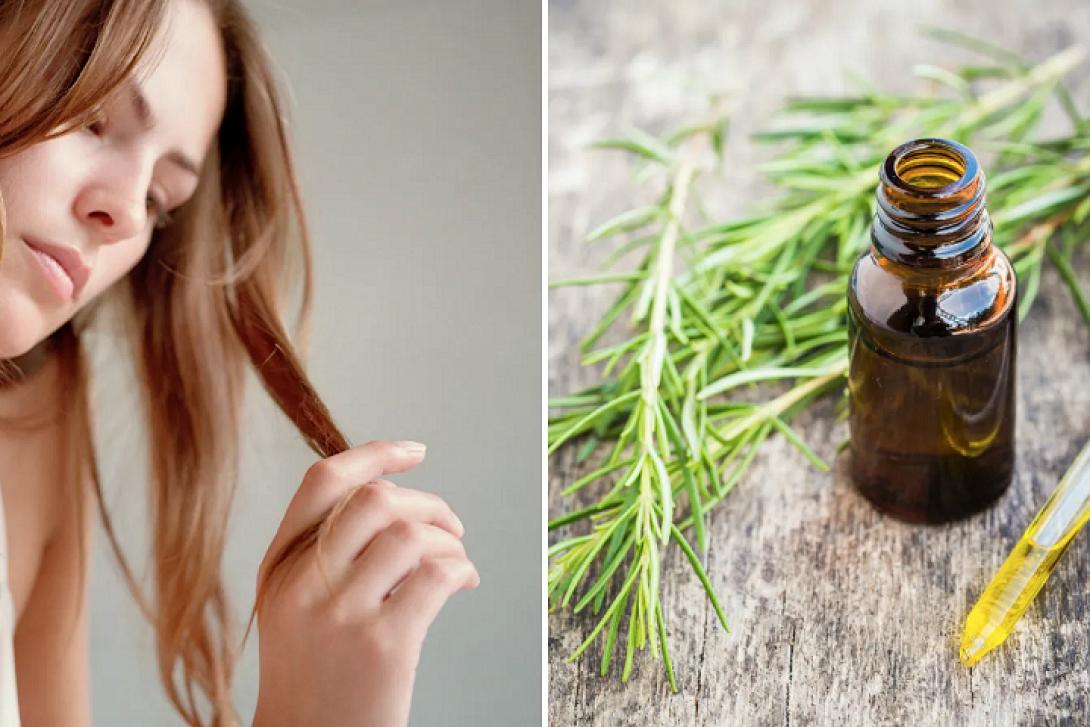 Έλαιο δεντρολίβανου ,τριχόπτωση