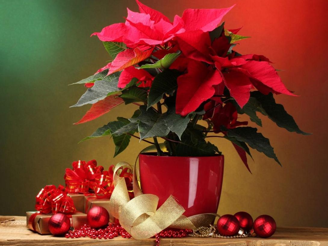 Αλεξανδρινό