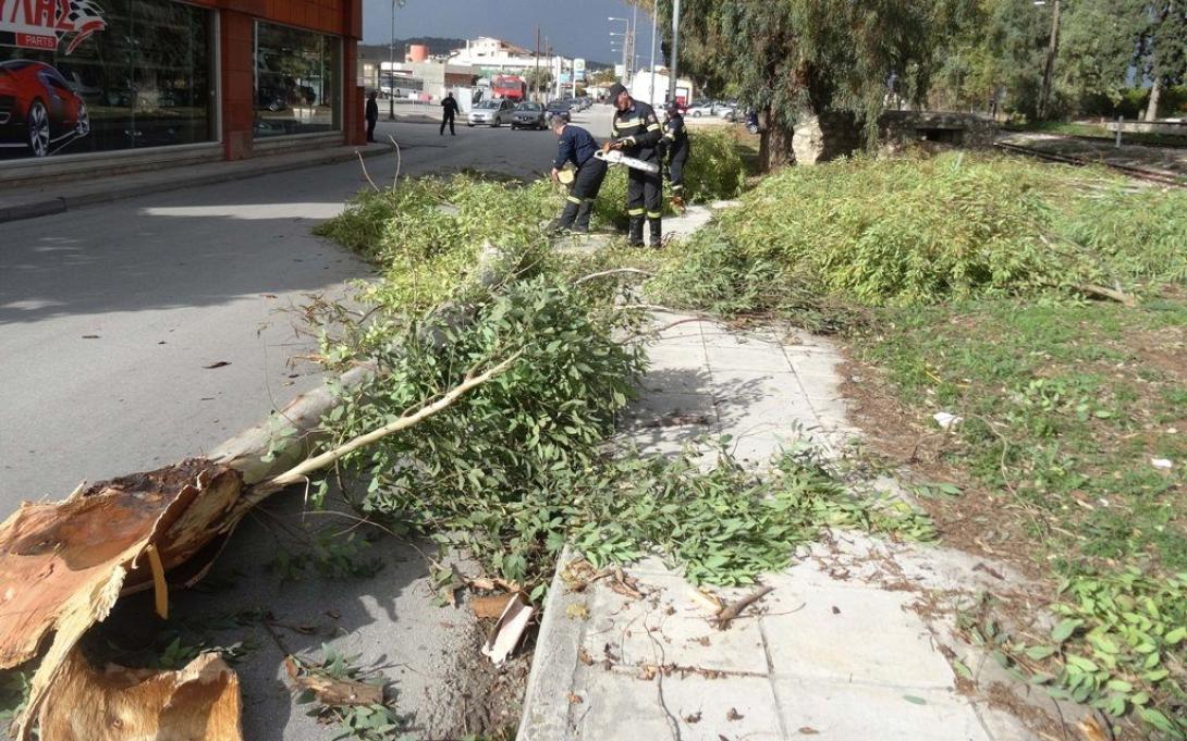 δεντρο