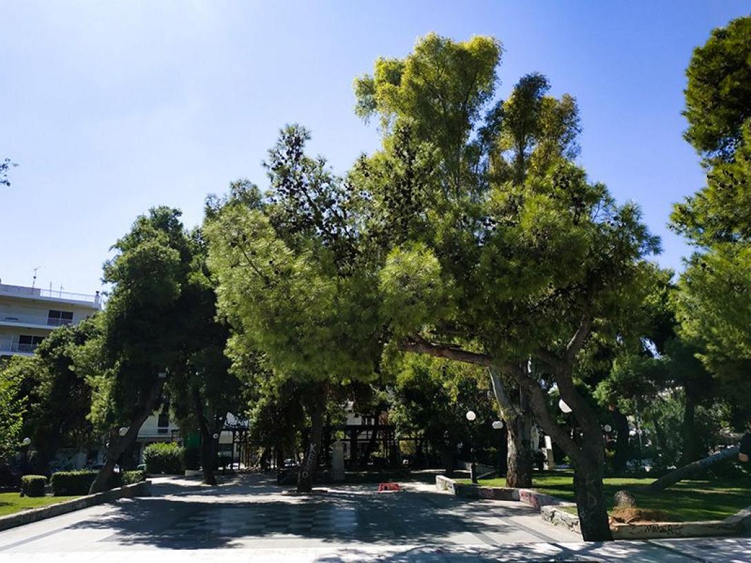 αστικο πρασινο