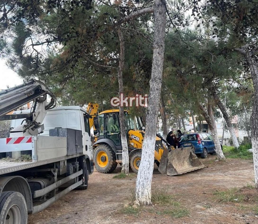 δεντρα