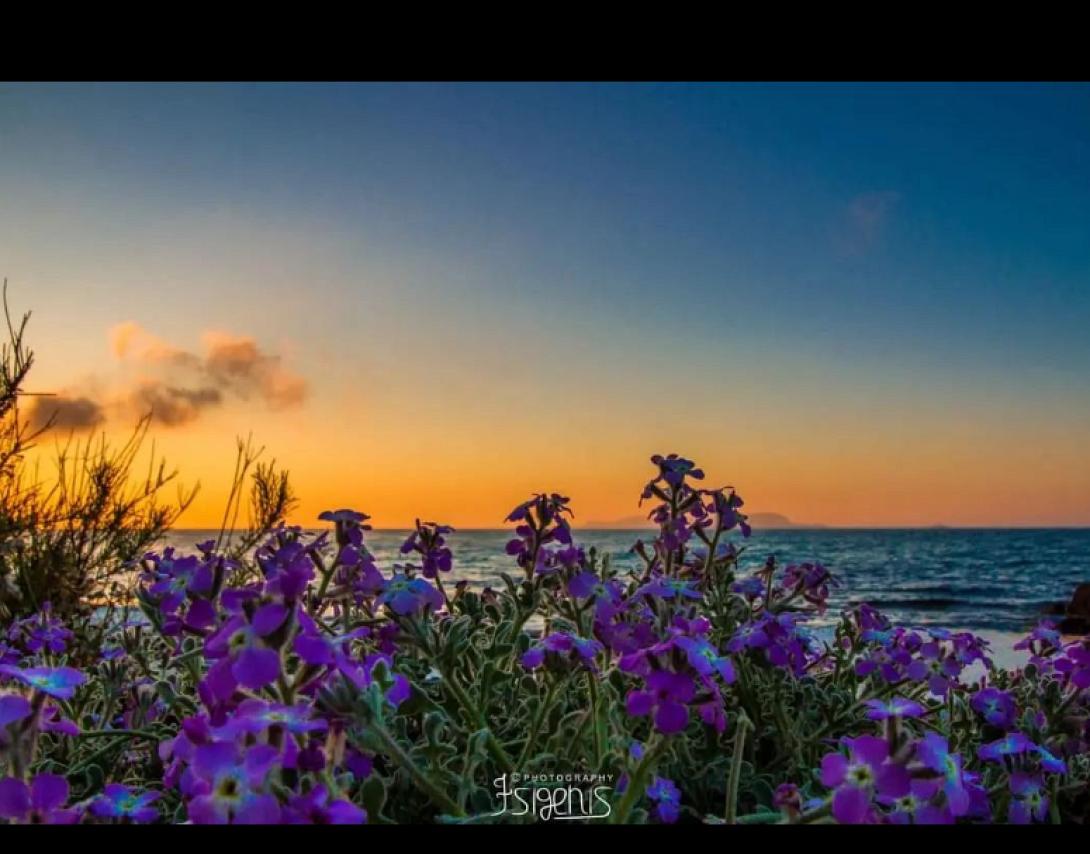 φωτο