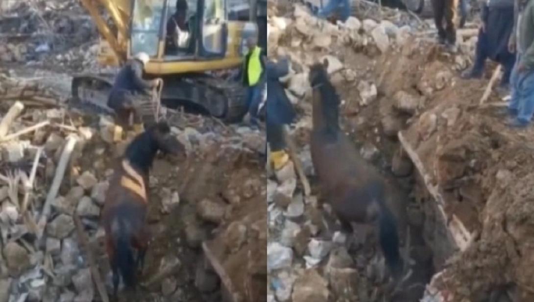 σεισμός Τουρκία