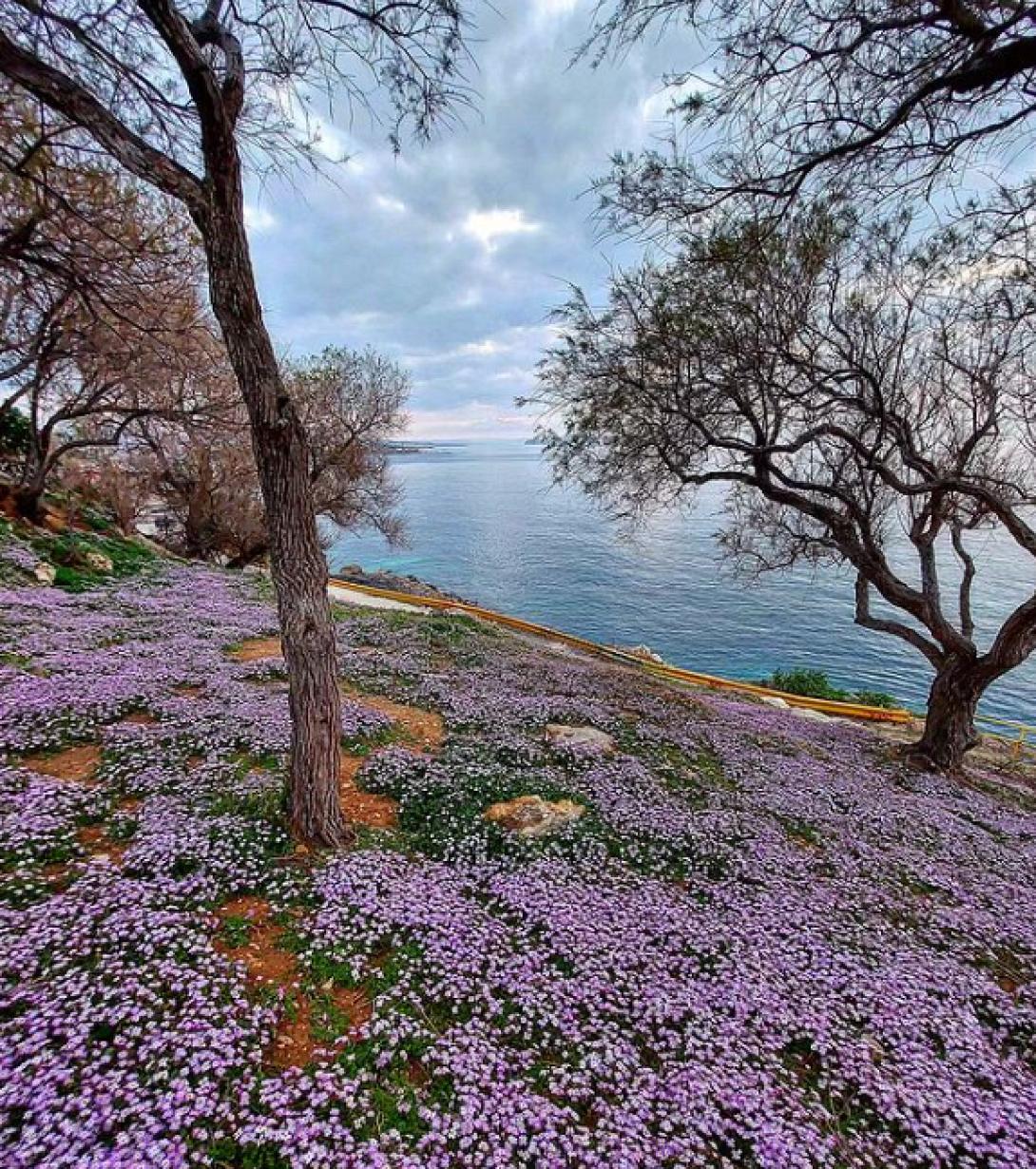 άνοιξη