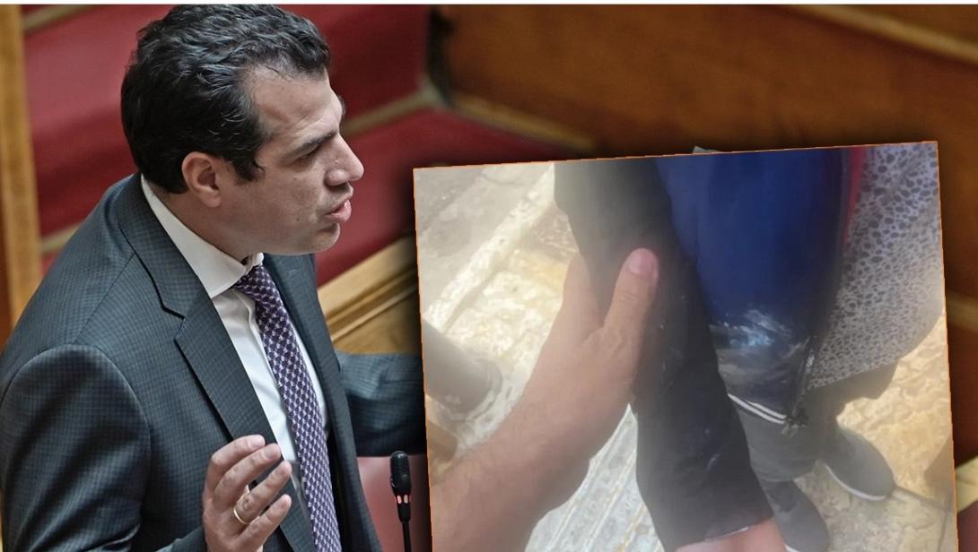 Πλεύρης
