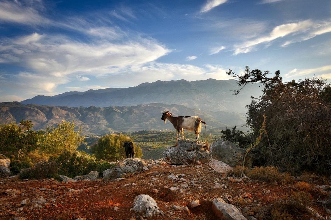 κρητη καιρός συννεφα κατσίκι