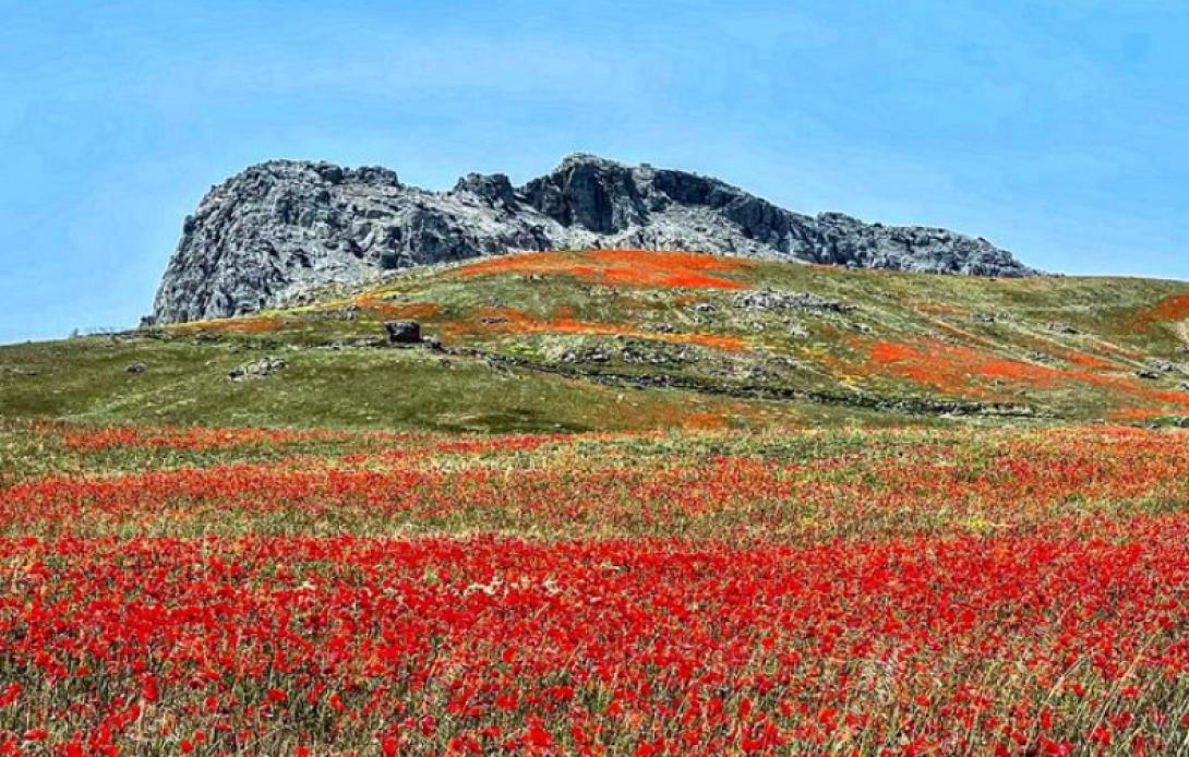 ορος