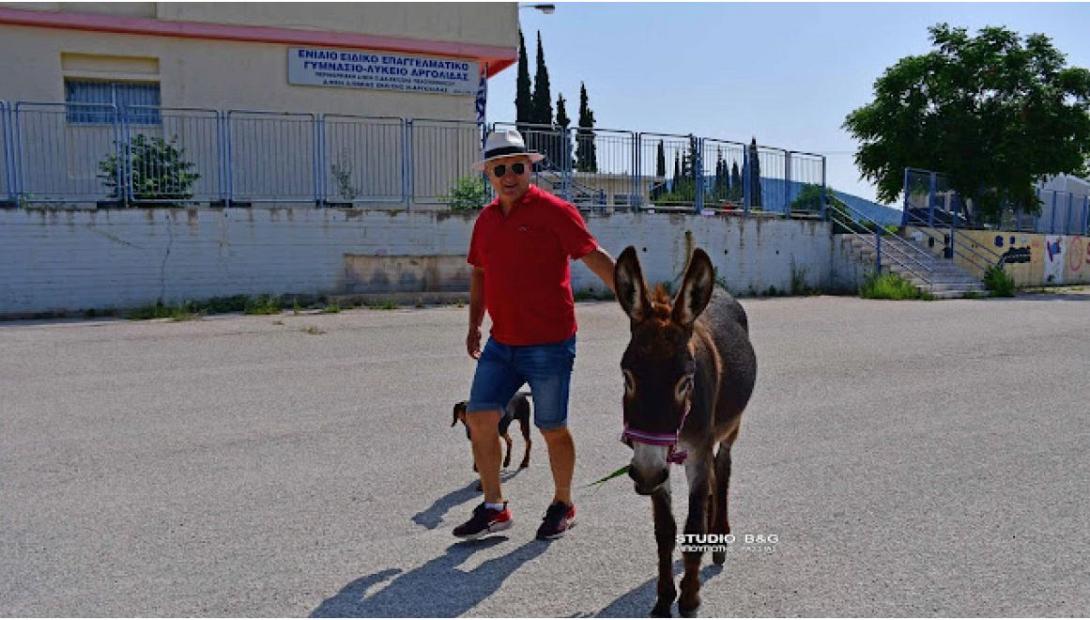 γαιδαρος στην καλπη