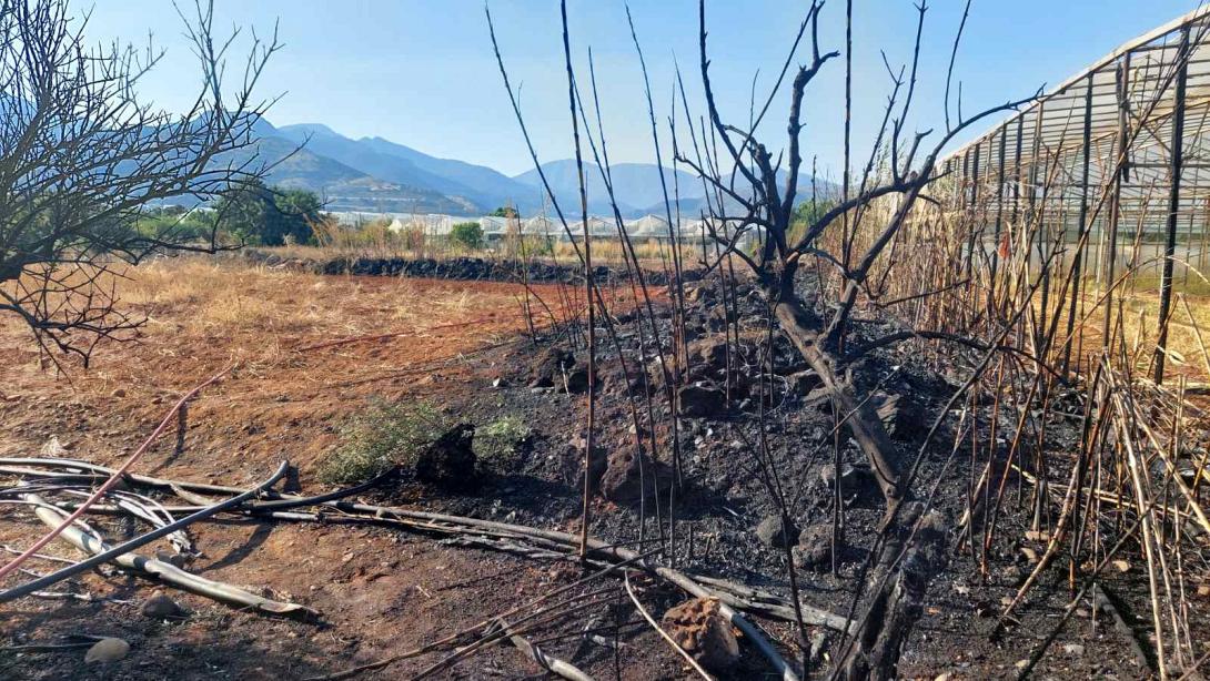 Νέα φωτιά κινητοποίησε την Πυροσβεστική