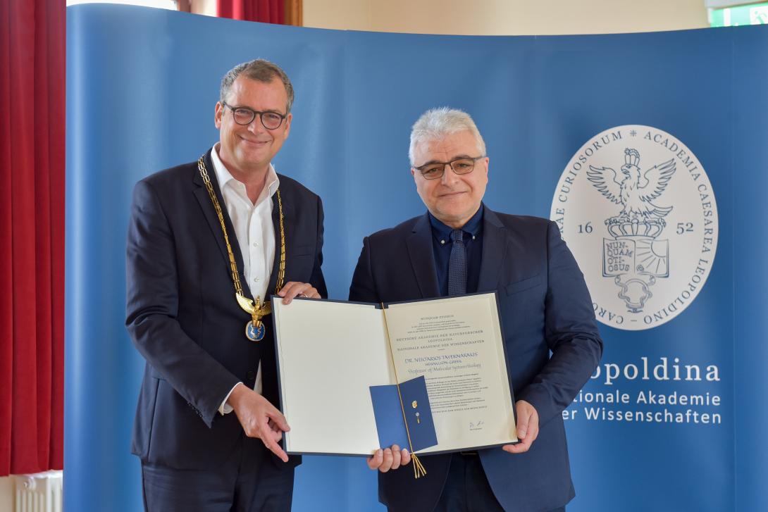 ΔΙΑΚΡΙΣΗ ΤΑΒΕΡΝΑΡΑΚΗ