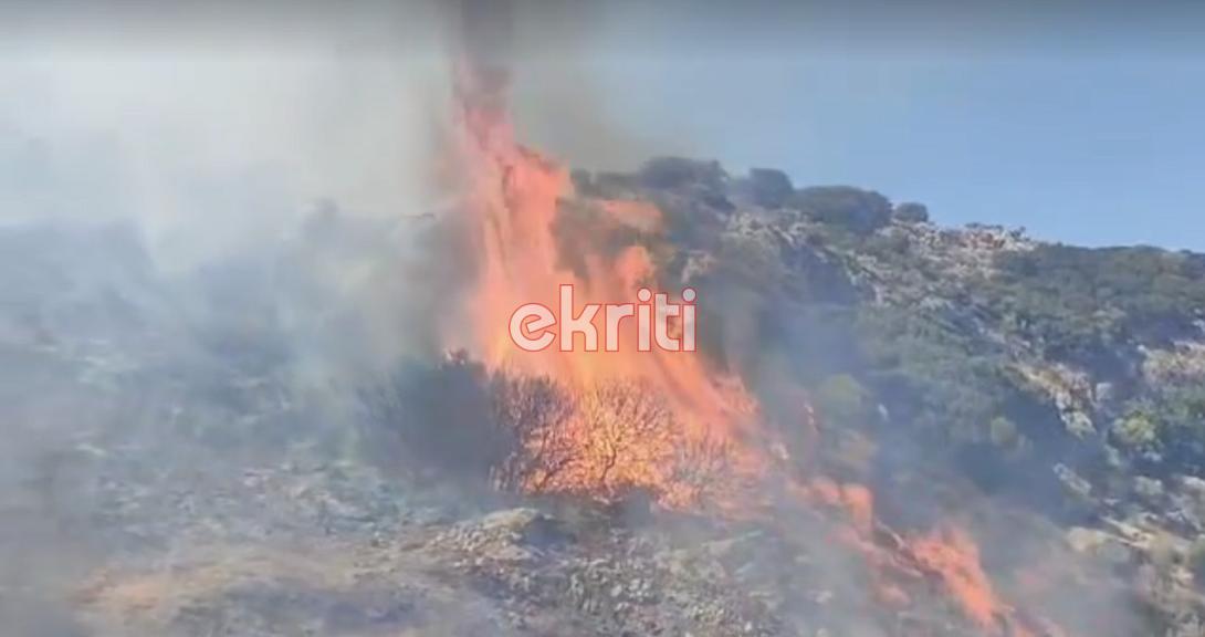 Μάχη των πυροσβεστών για να σωθούν καλλιέργειες και περιουσίες