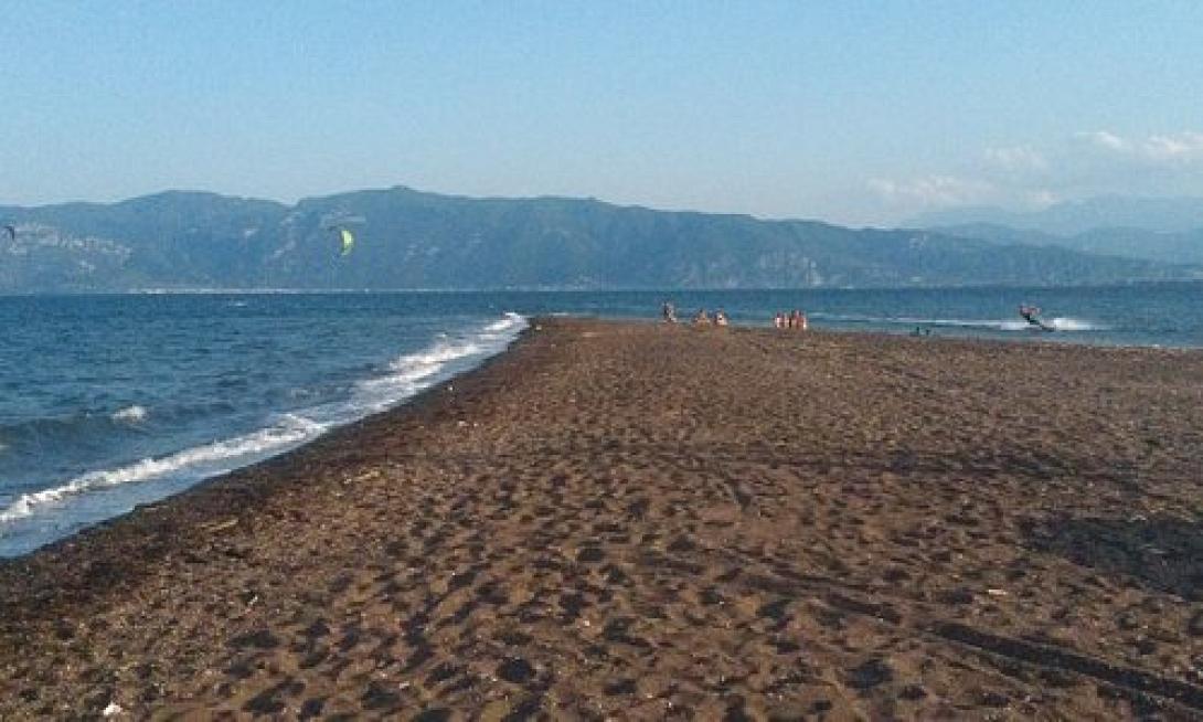ραχες φθιωτιδας