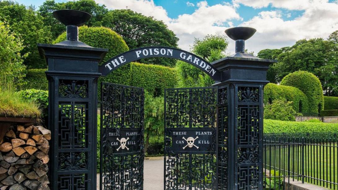 the poison garden