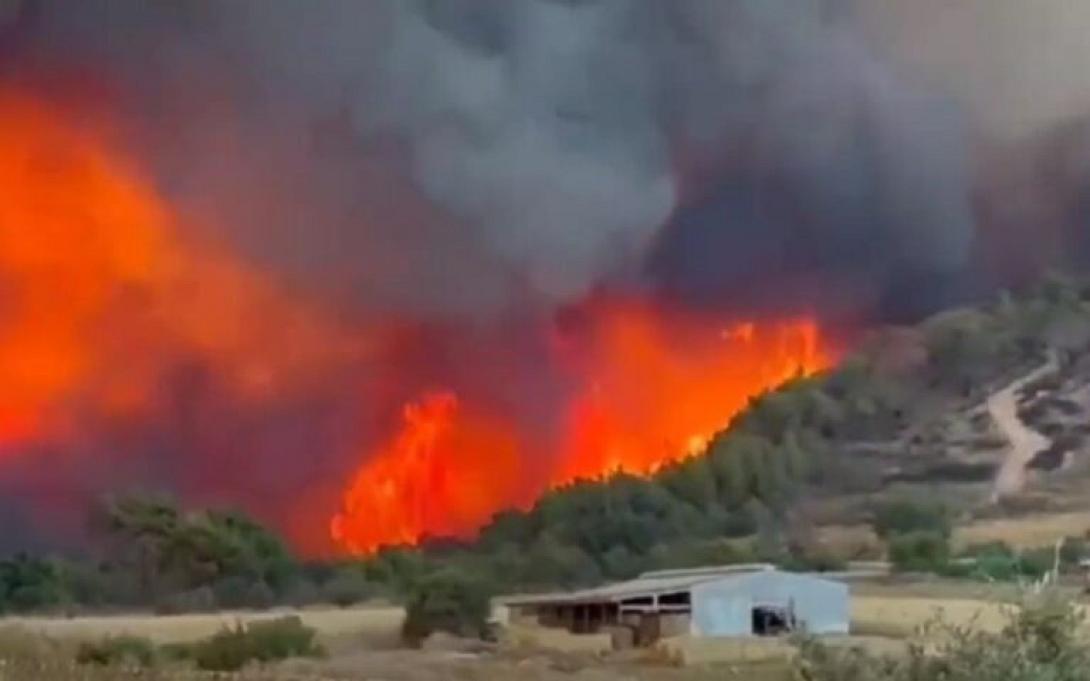 ΦΩΤΙΑ ΑΛΕΞΑΝΔΡΟΥΠΟΛΗ