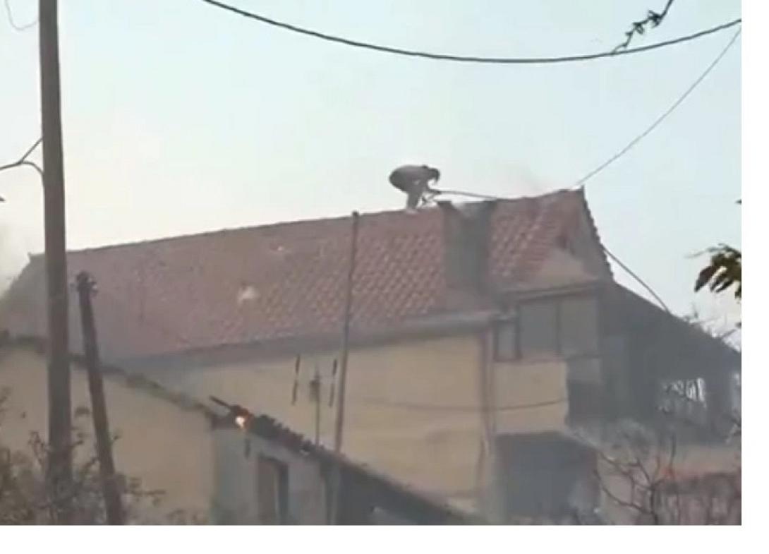 Χασιά