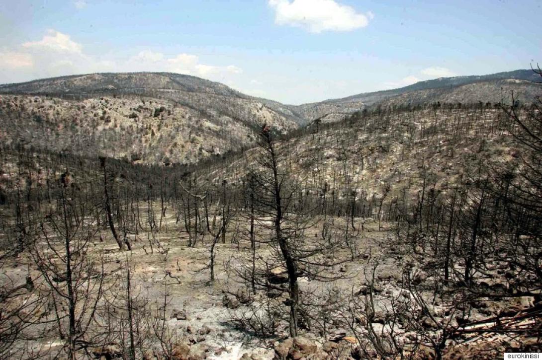 καμμενη γη