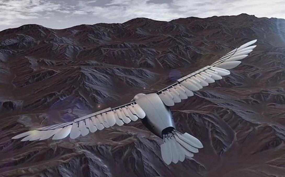 drone
