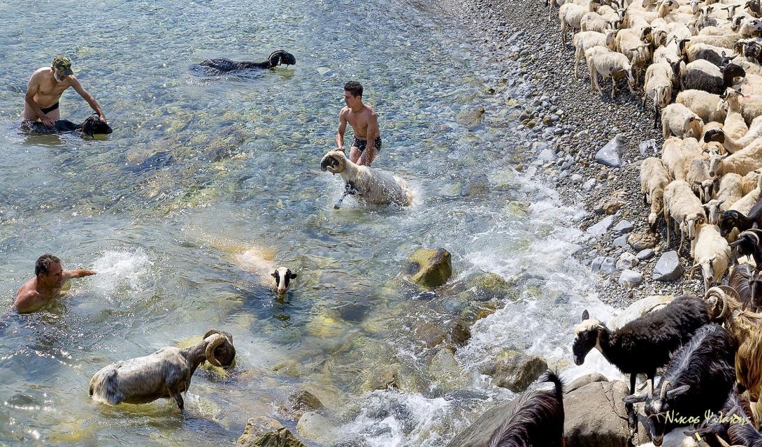 νίκος ψιλάκης