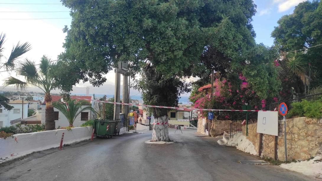 ΠΛΑΤΑΝΙΑΣ