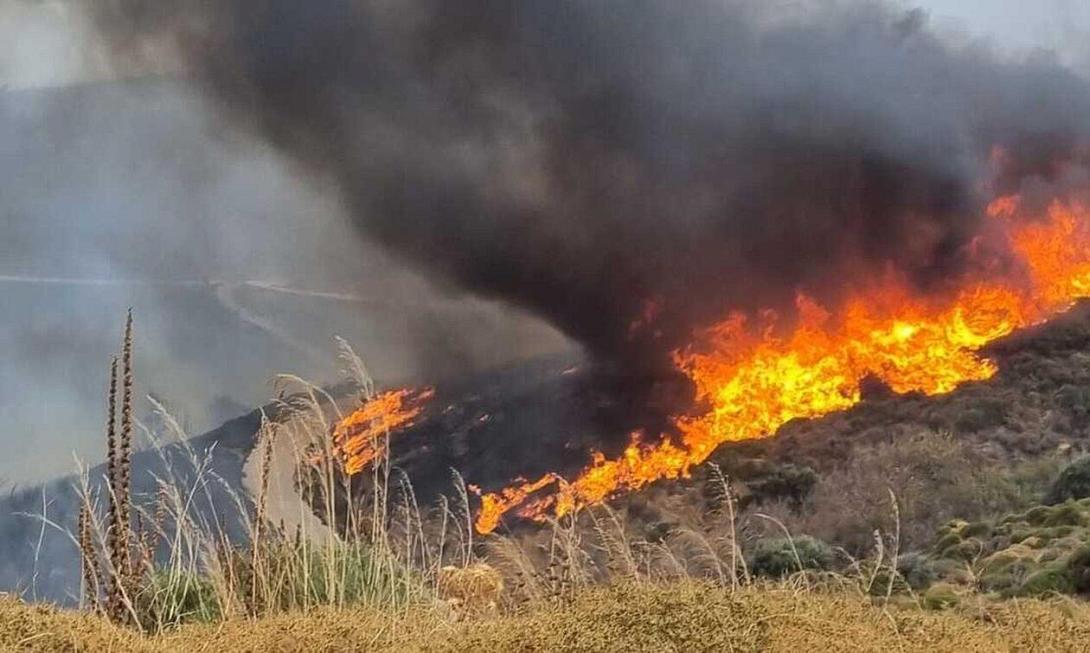 φωτια κάρυστος