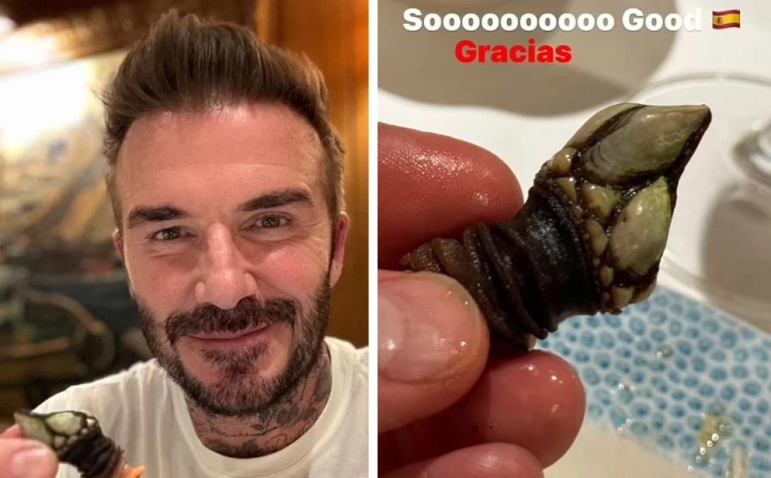 beckham