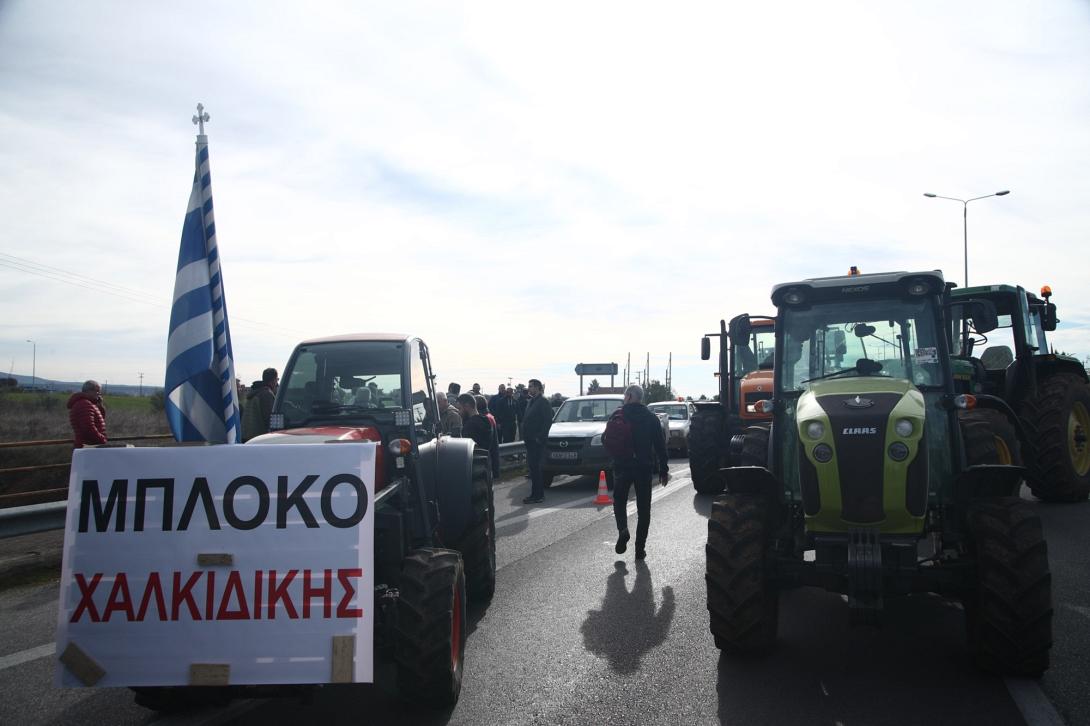 αγρότες χαλκιδική 4