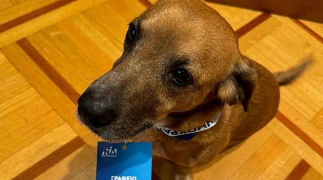 Πίνατ